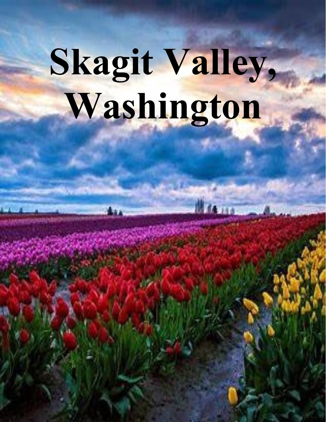 Skagit Valley Washington